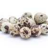 Quail egg (30)